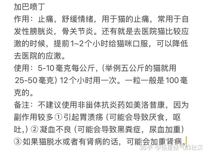 养一只癫痫宠物，日常要注意哪些细节？