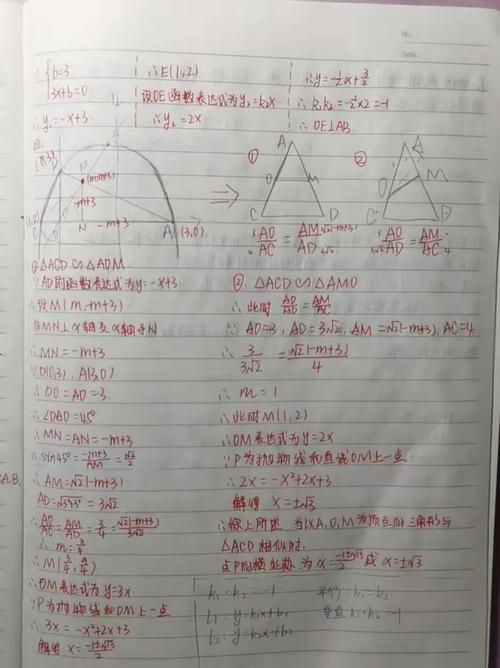 初中生主观题错题踩分标注笔记实拍