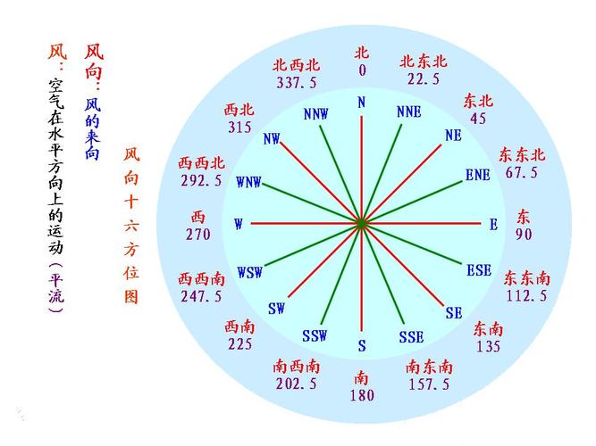 🌐 最新风向：从政策到家庭