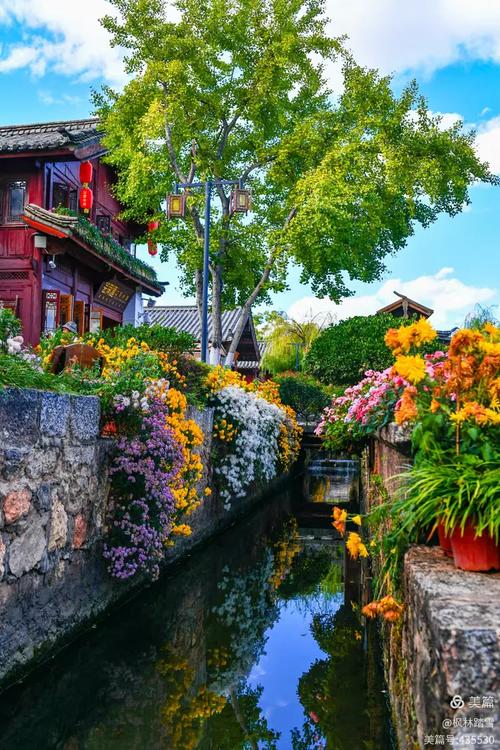 丽江古城清晨青石板溪水石桥景