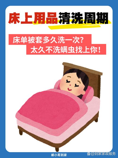 清洁度与健康：床单细菌与马桶圈的真相