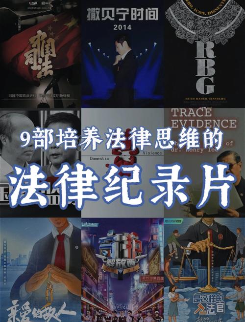 纪录片拍摄的法律属性界定
