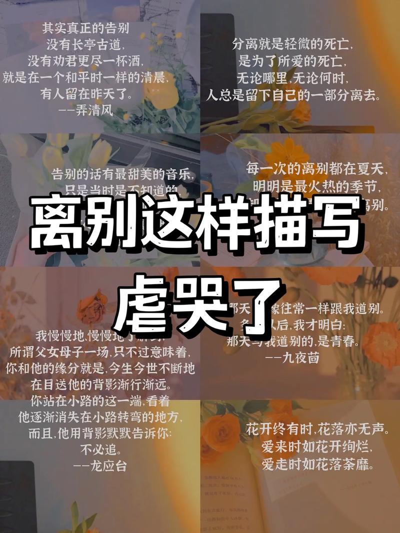 写在最后:一个老家伙的碎碎念
