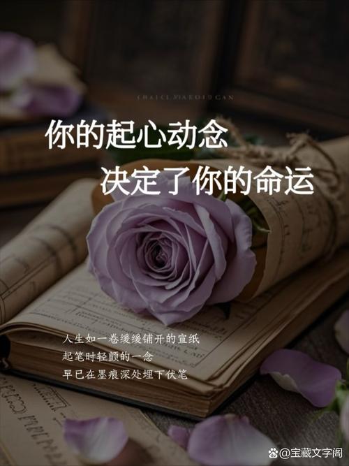 五、极简到后面,你会发现是心在变轻