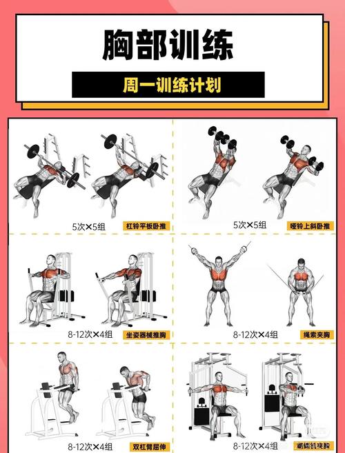 预防大于治疗:肌肉记忆怎么练
