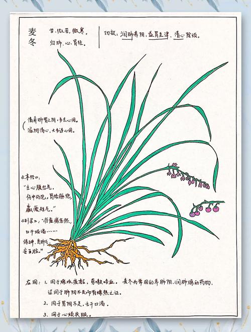 不同草本性子不一样,选适合自己的