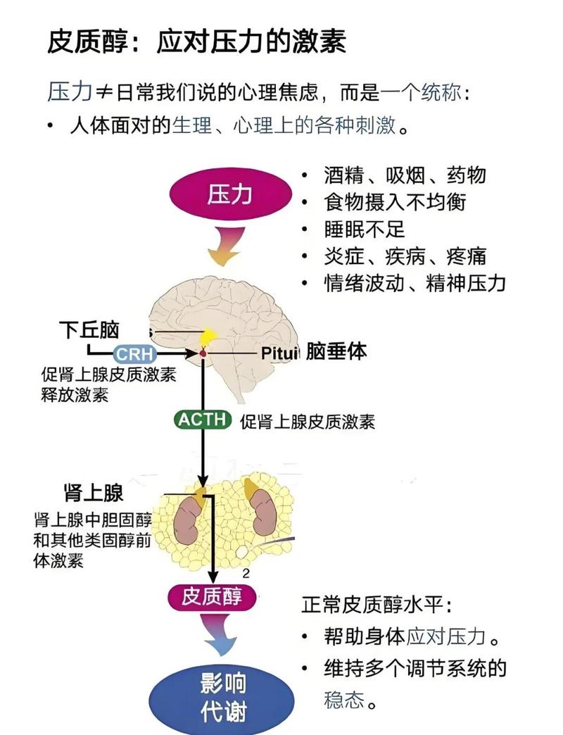 聊聊压力：别总绷着，偶尔也认个怂-大讲堂