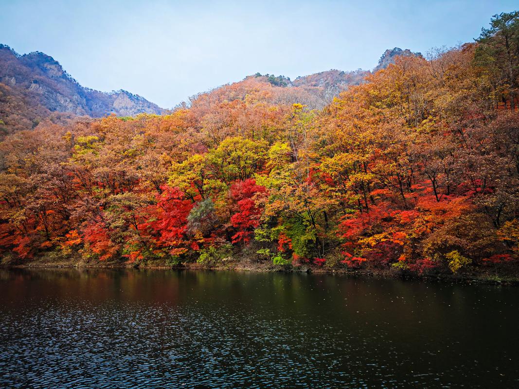 第四名：辽宁本溪——关门山红叶，东北硬核赏秋