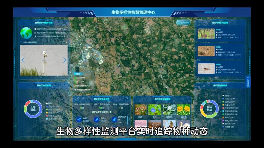 生态监测技术的下半场，要解决的还是实打实的老问题