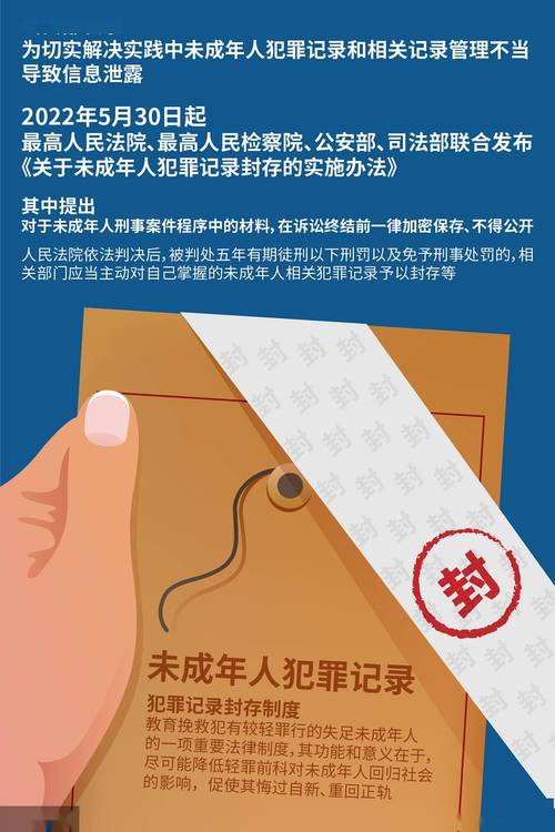 未成年人犯罪记录封存法条条文示意图