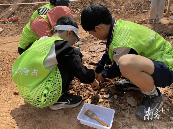 暑期学校学生在户外进行考古挖掘的现场