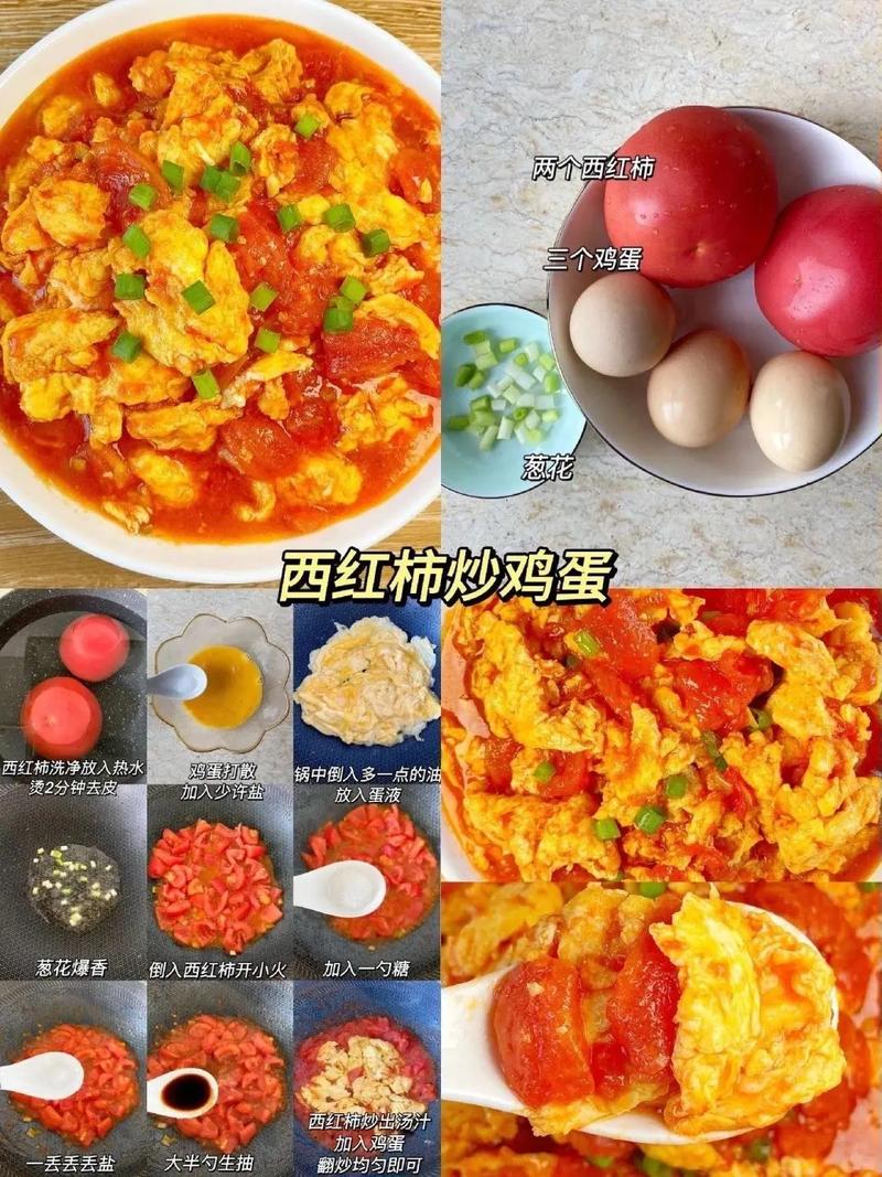 家常菜谱番茄炒蛋调味料摆放图