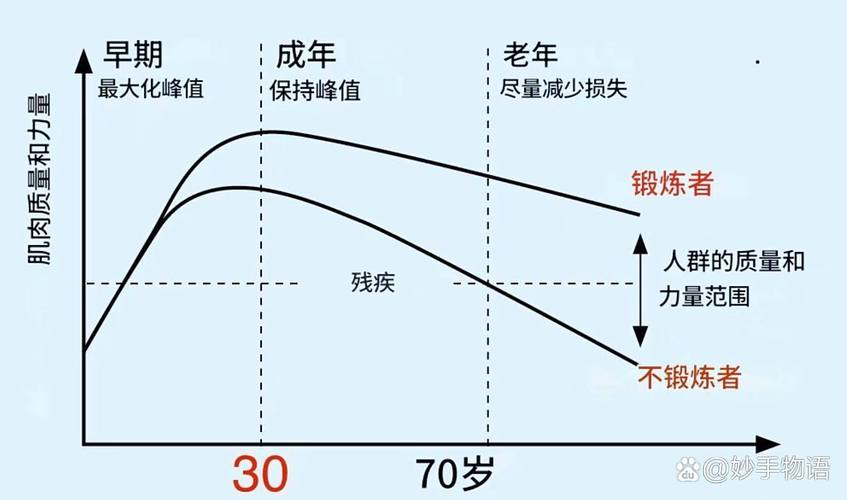成年人不同年龄段肌肉量变化对比图