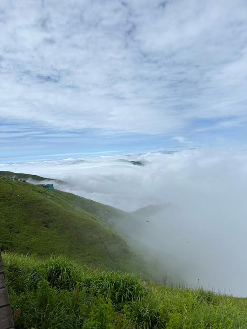 仙女山夏季草原雾海