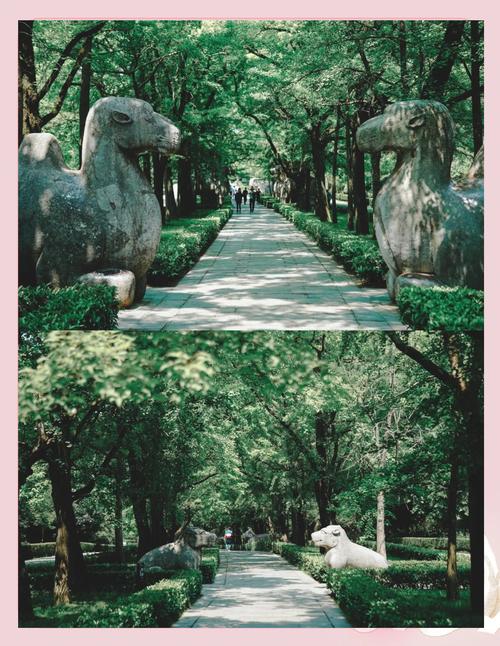 南京明孝陵石象路石骆驼文物本体保护标识牌