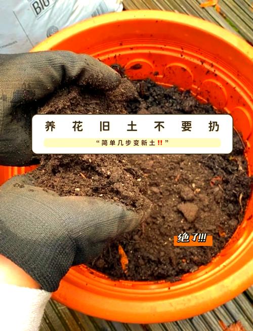 不是所有旧花土都适合循环利用