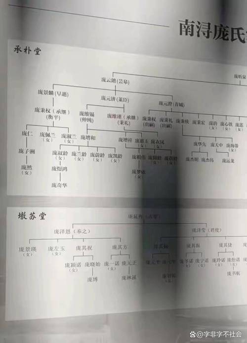 家庭基金会：工业家族基业长青的秘密武器-超级宝贝