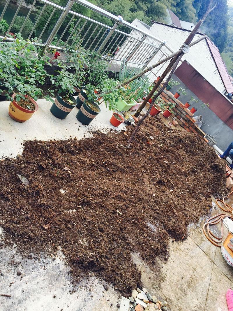 家庭阳台种花翻出的旧花土实拍