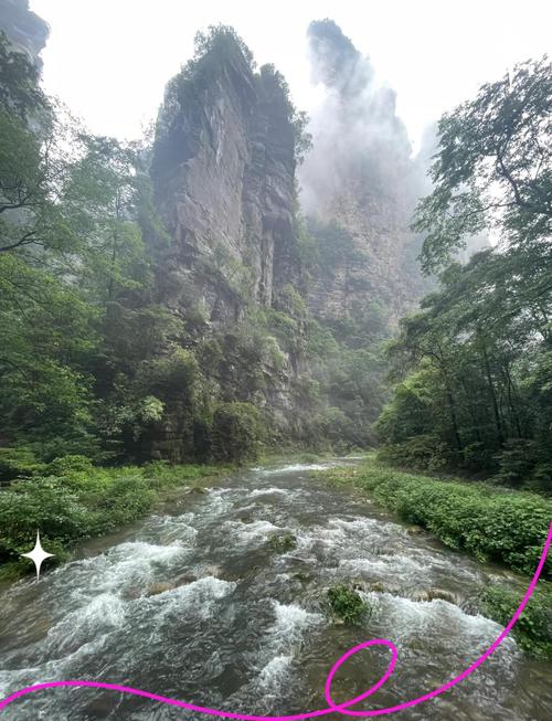 张家界金鞭溪清晨晨雾山景