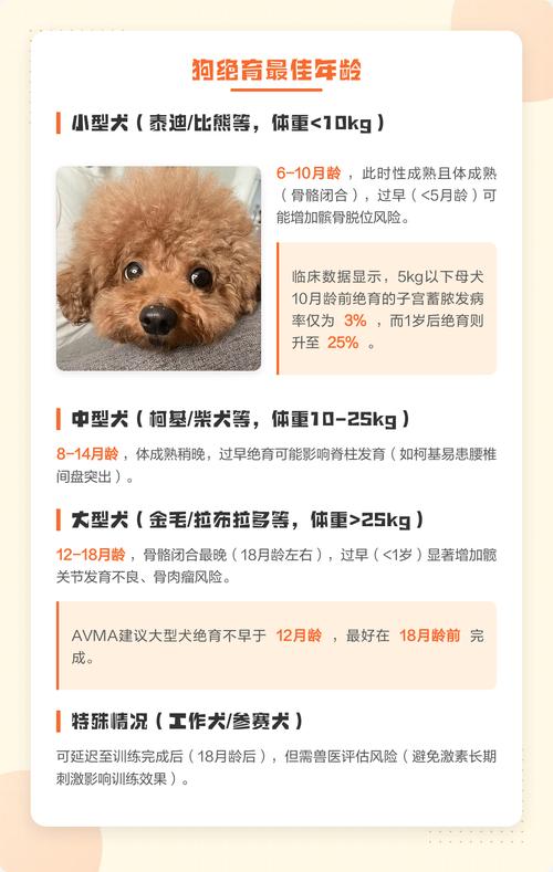 不同年龄绝育情况犬猫热量需求对照表