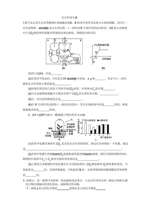在家就能做的四个光合小练习