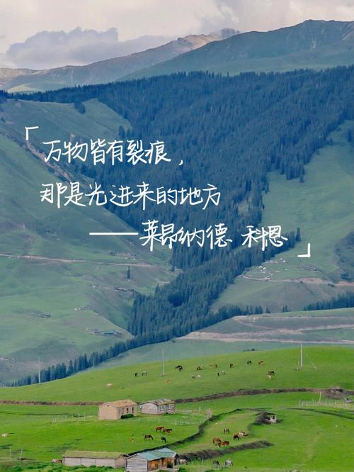 裂缝里,光才进得来