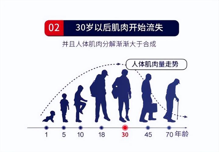 老年蛋白质缺乏肌肉衰减对比图