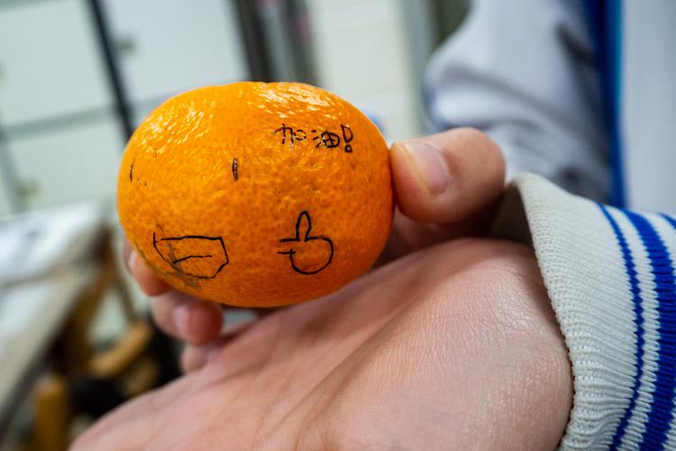 高中走廊学生给老师递攥皱的半块橘子