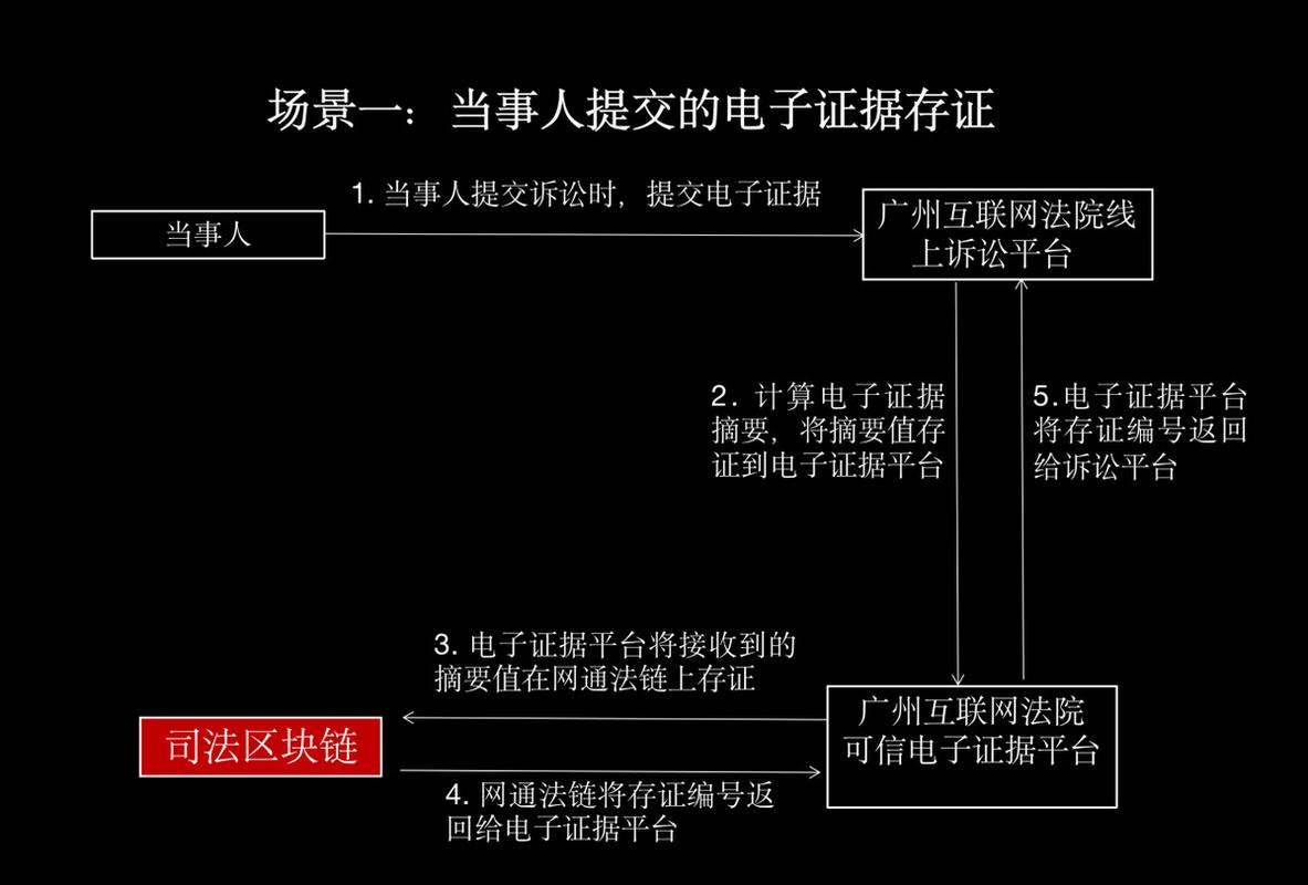 民事诉讼电子证据举证示意图
