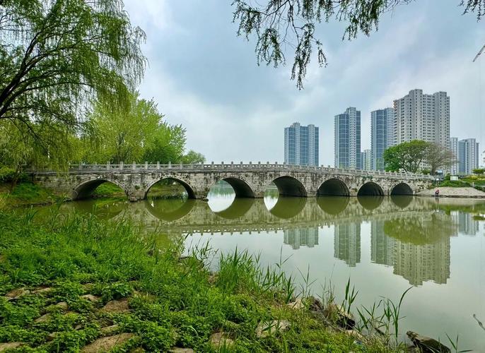 南京七桥瓮支河生态修复前黑臭水体岸边实拍