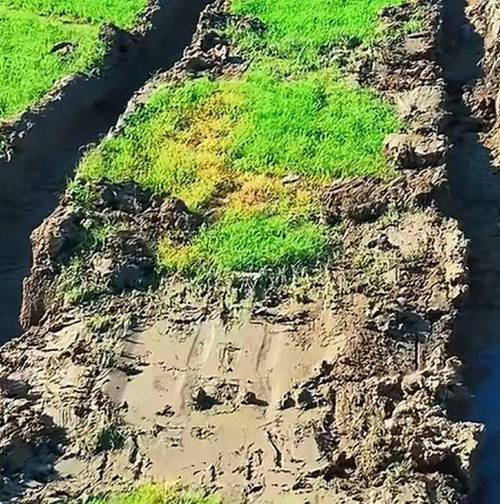 越野车碾压草原导致生态破坏对比图