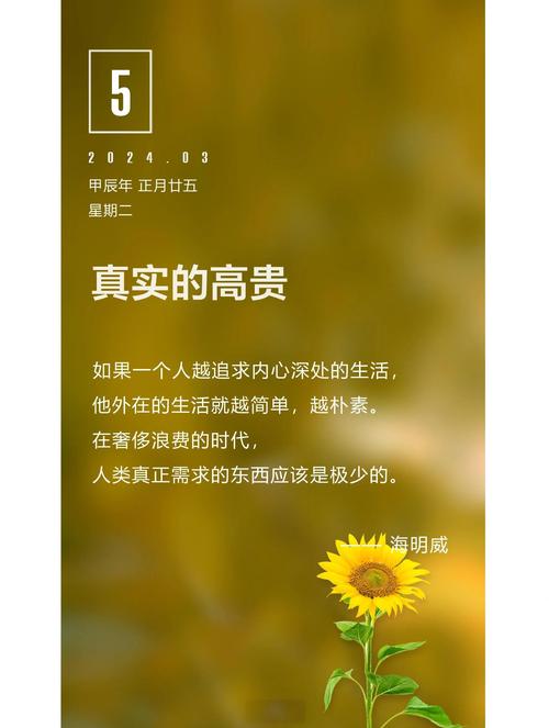 精致从来不是买贵的,是把心思揉进缝隙里