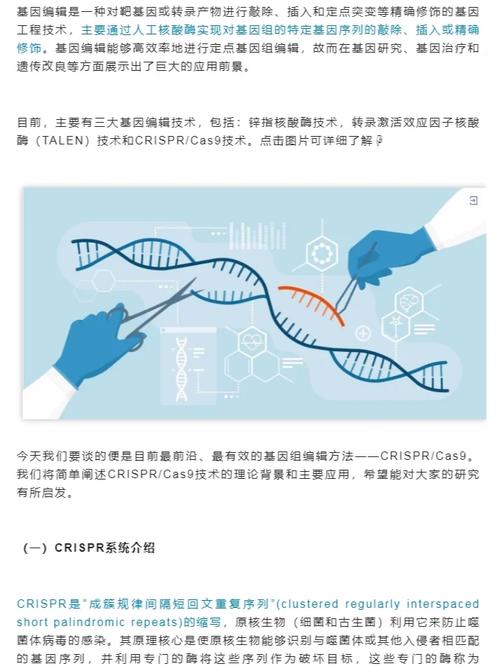 CRISPR-Cas9基因编辑技术细菌免疫机制实验室研究