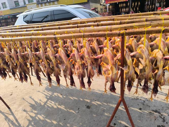 南漳农户家屋檐下挂的风干鸡腊货