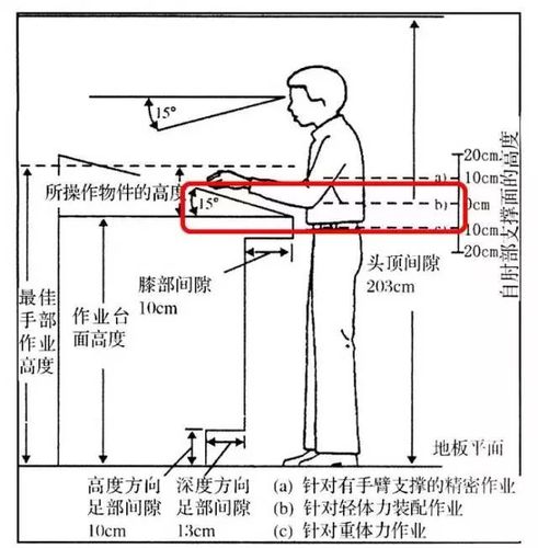 产线工位操作高度人体工程学示意图
