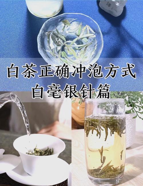 盖碗冲泡白毫银针不洗头道汤