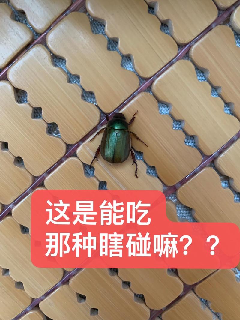 哪些场景能用？哪些绝对别瞎碰？