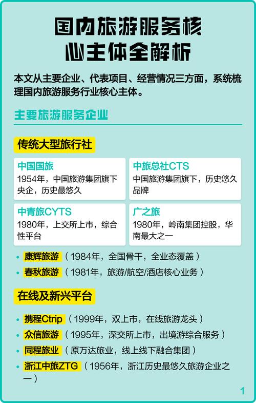 核心服务主体的专业能力解析