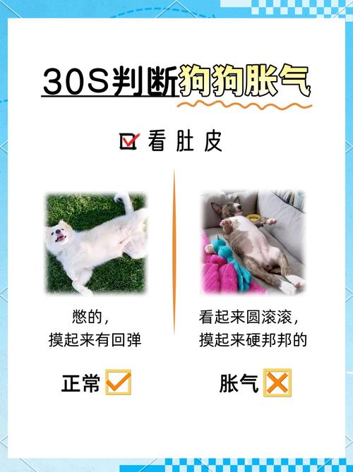 怎么判断一个梗快要过气了?