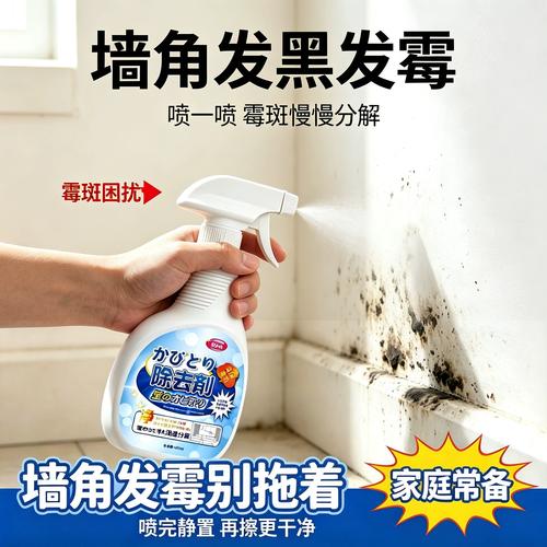 墙角发霉除霉喷雾处理