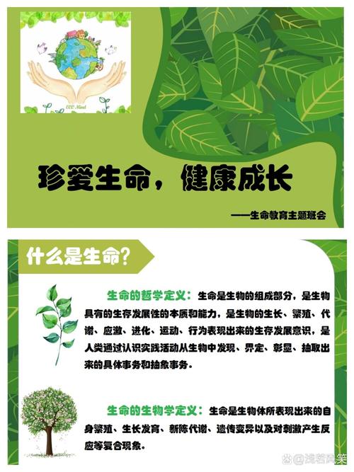生命教育从来都不是刻意开的课
