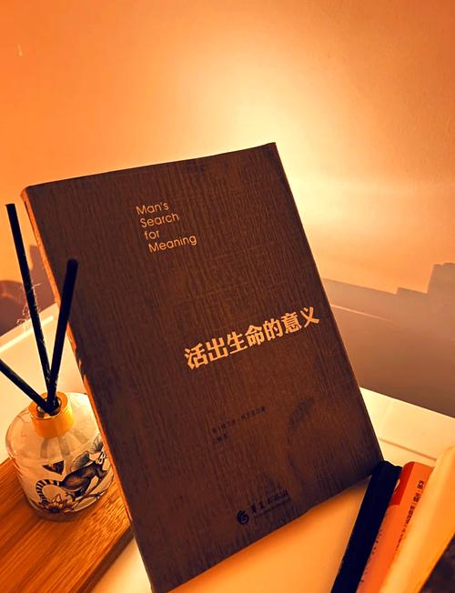 精神补给的核心：不是慢，是“断联”