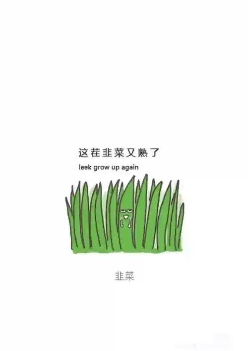 写给新韭菜的一些唠叨
