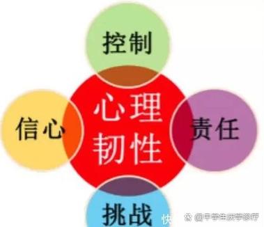 心理韧性三元模型3C结构图示
