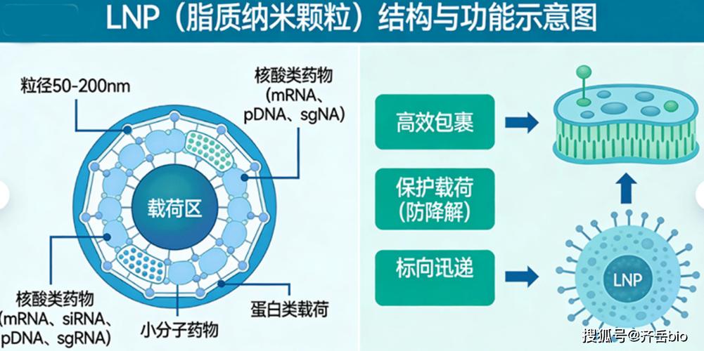 生物技术应用，离砸碎药罐子还有多远？