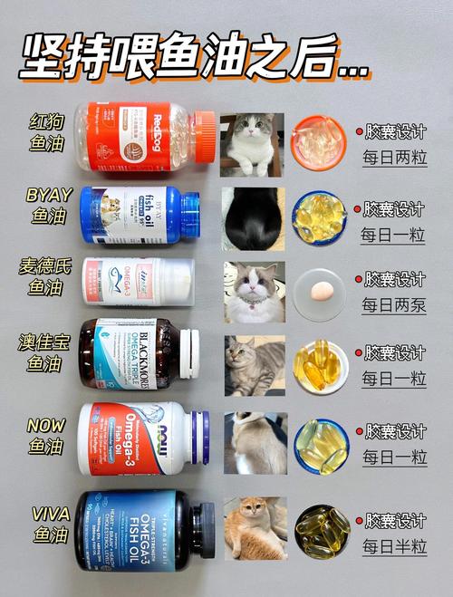 到底哪些宠物真的需要补鱼油？