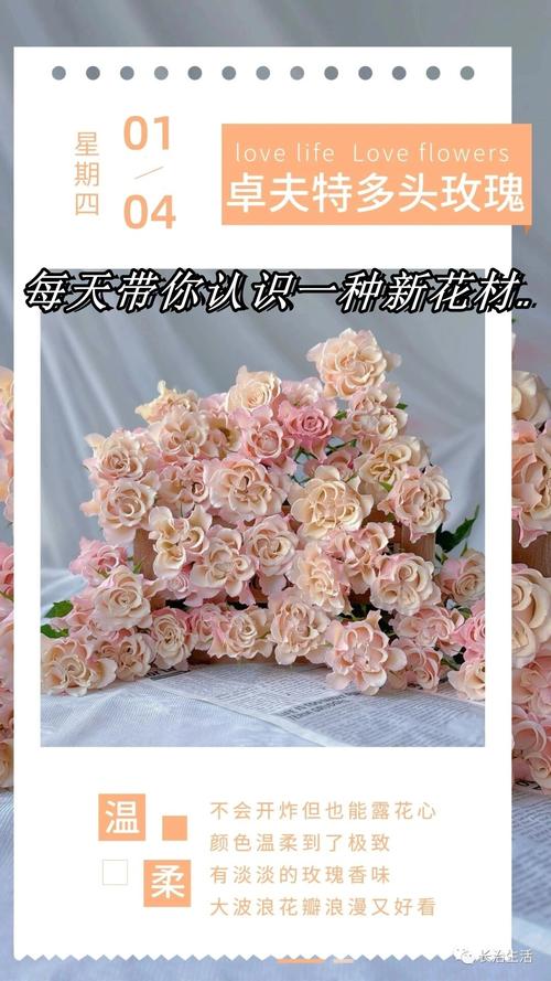 二、花材的内卷程度,你根本想不到