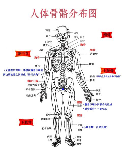 难啃的骨头在哪里