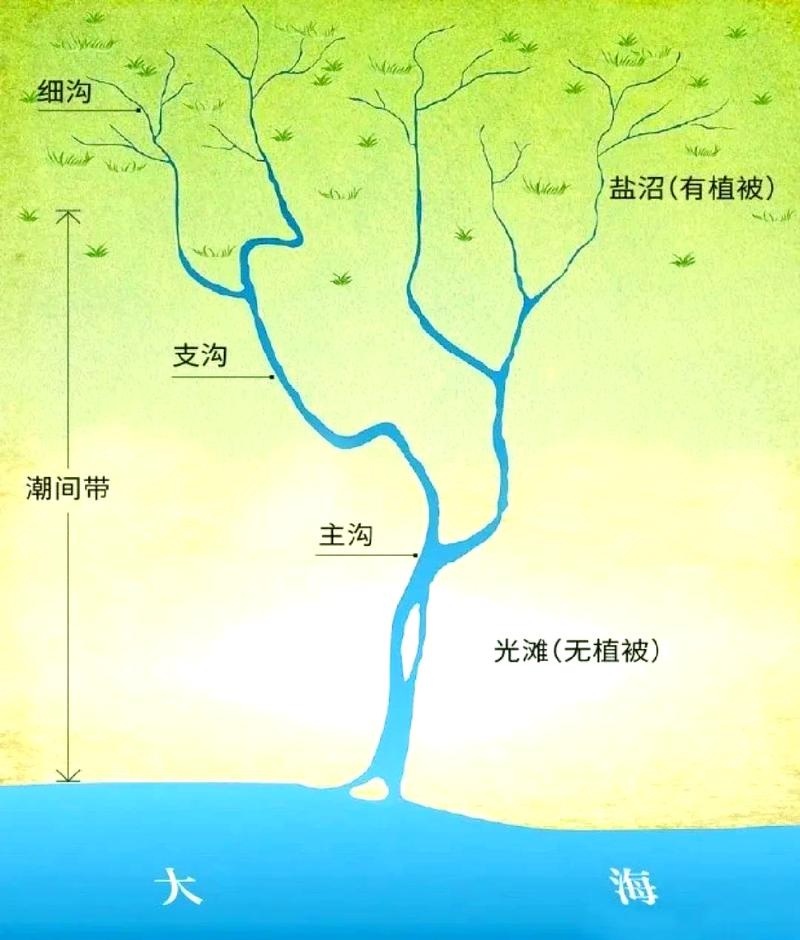 三、差几分?野路子与深水区