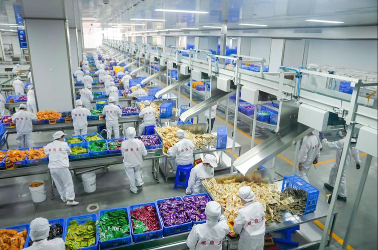 螺蛳粉生产流水线机器视觉检测工位实拍